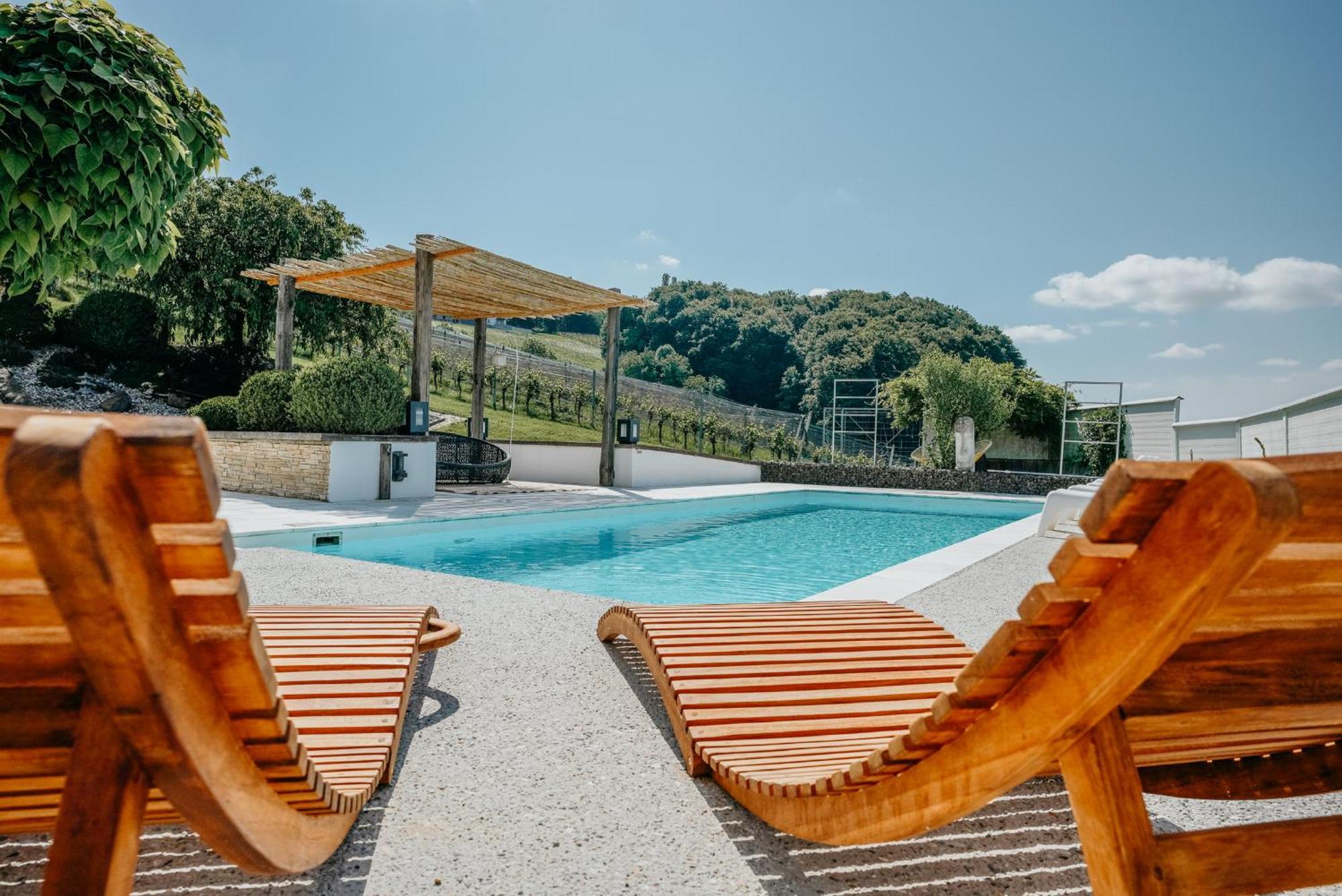 Weingut Holler Chalet Weingarten Spielfeld Exterior foto